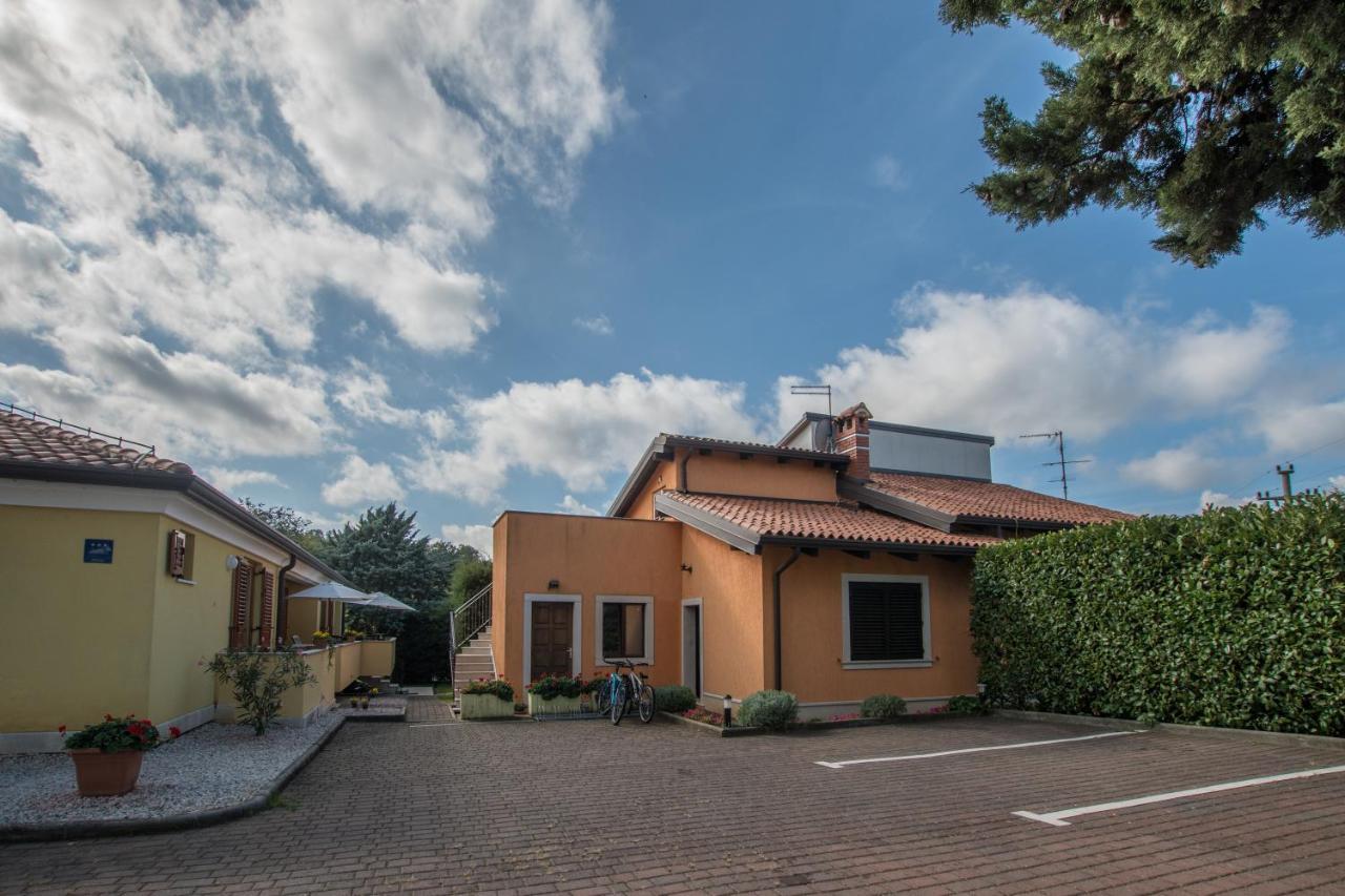 Apartment Viler