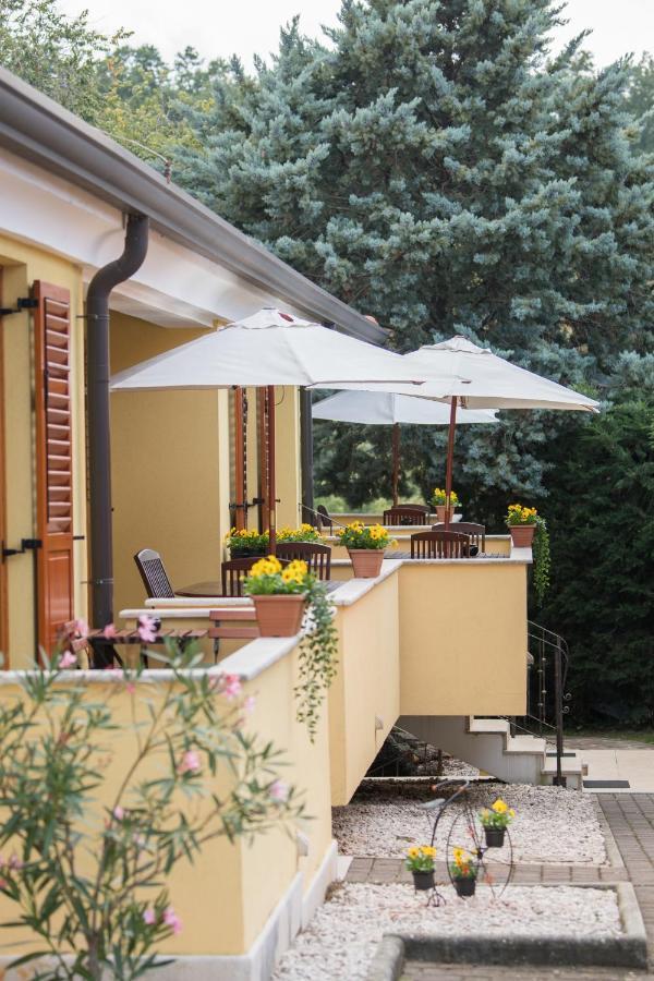 Viler Apartment Buje